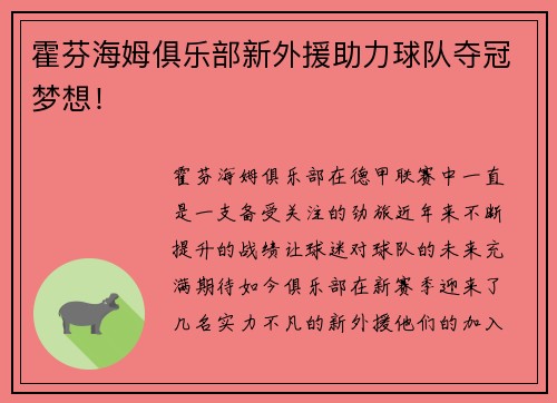霍芬海姆俱乐部新外援助力球队夺冠梦想！