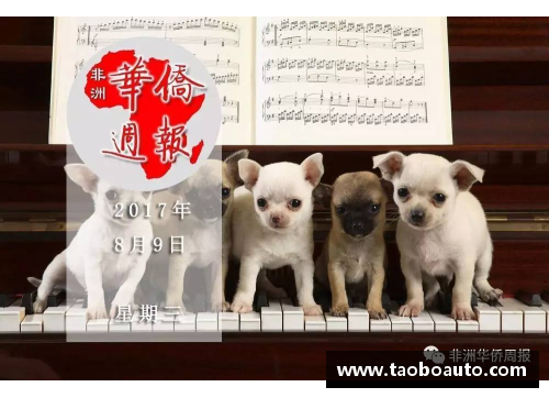 狗万回顾_孙杨张豆豆结婚，娱乐圈体育圈双炸