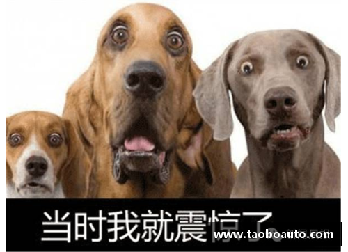 狗万官网中公赛两金一银收官，国羽未来可期