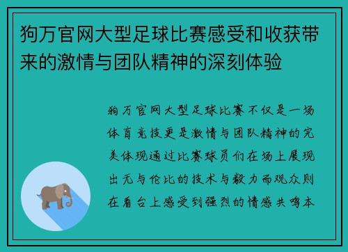 狗万官网大型足球比赛感受和收获带来的激情与团队精神的深刻体验