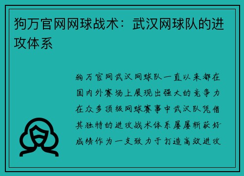 狗万官网网球战术：武汉网球队的进攻体系