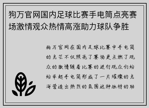 狗万官网国内足球比赛手电筒点亮赛场激情观众热情高涨助力球队争胜