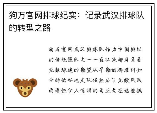 狗万官网排球纪实：记录武汉排球队的转型之路